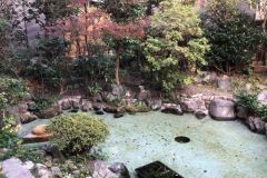 池改修1