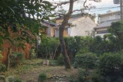 池改修3